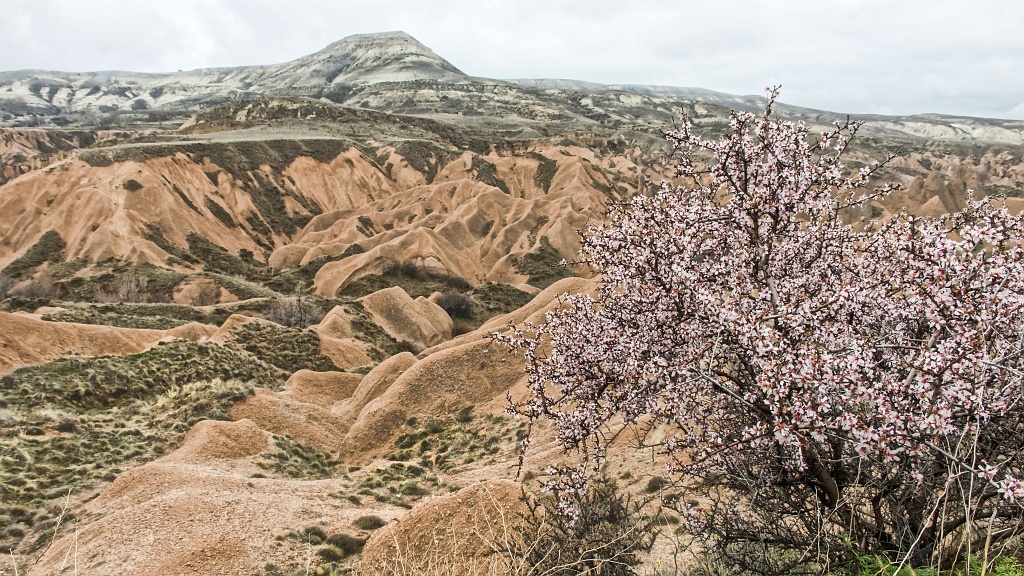 20150317_64 66.JPG - ... ontstaan dooreeuwenlange erosie...